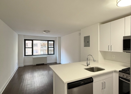 405 E 56th #8EB - Photo 1