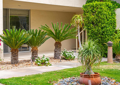 477 Desert Lakes Drive - Photo 1