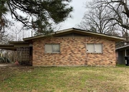 702 Bringhurst Drive - Photo 1