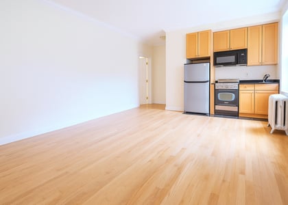 117 West 13th Street - Photo 1