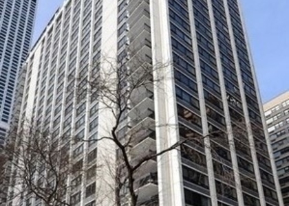 222 E Pearson Street - Photo 1