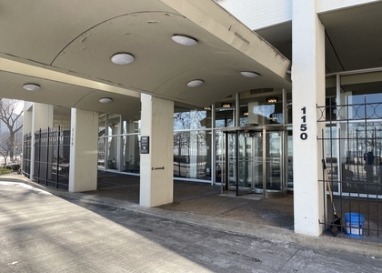 1150 N Lake Shore Drive - Photo 1