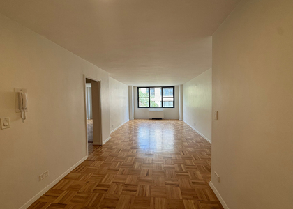 333 East 49th Street - Photo 1