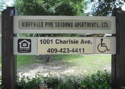 1001 Charlsie Ave - Photo 1