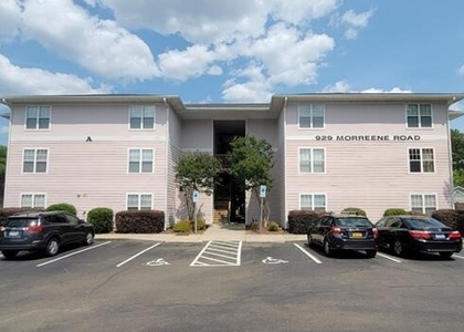 929 Morreene Road - Photo 1