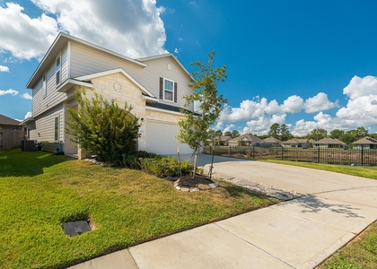 1123 Magnolia Branch Lane - Photo 1