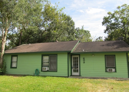 603 Coryell Street - Photo 1