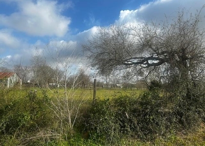 27722 Betka - Photo 1