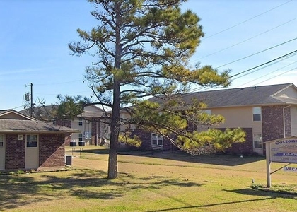 1008 Cottonwood Loop - Photo 1