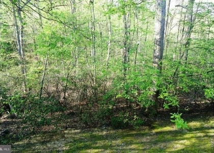 10225 Cove Ledge Court - Photo 1
