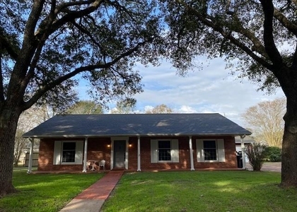 1210 Brazos Street - Photo 1