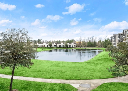 30685 Fm 2978 Road - Photo 1