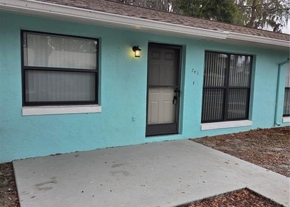 743 E Alfred Street - Photo 1