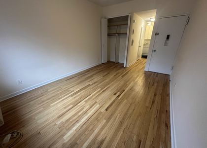 523 East 85th Street - Photo 1