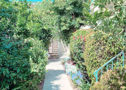 11081 Rose Avenue - Photo 1