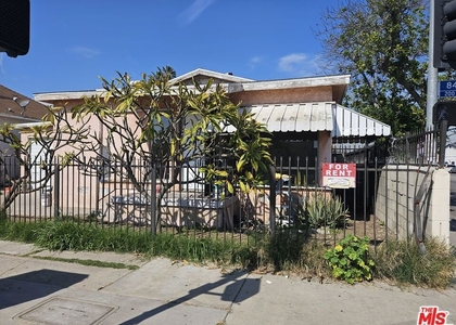263 E 84th Place - Photo 1