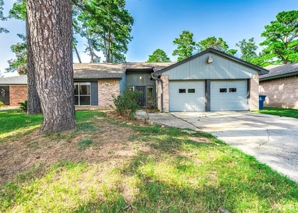 4406 Lost Lake Lane - Photo 1