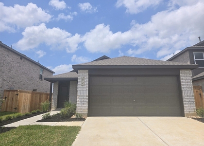 28722 Texas Sparrow Lane - Photo 1