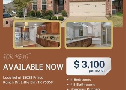 15028 Frisco Ranch Drive - Photo 1