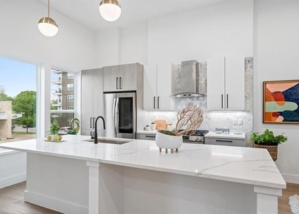 4208 Live Oak Street - Photo 1