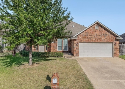 4009 Reatta Lane - Photo 1
