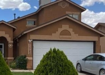 11749 Mesquite Miel Drive - Photo 1