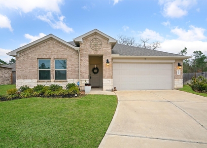3308 Cold Swan Court - Photo 1
