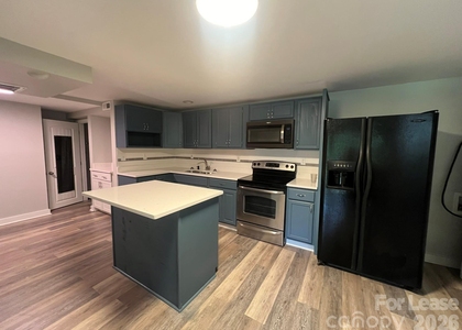 1117 Mineral Springs Road - Photo 1