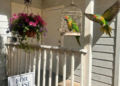 9603 Nightjar Dr - Photo 1