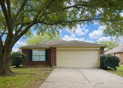 20423 White Poplar Drive - Photo 1