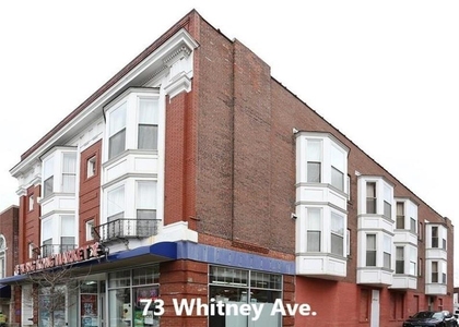 71-73 Whitney Avenue - Photo 1