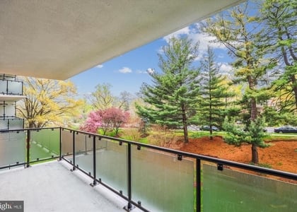 4201 Cathedral Avenue Nw - Photo 1