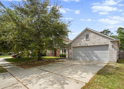 29417 Forest Floor Lane - Photo 1