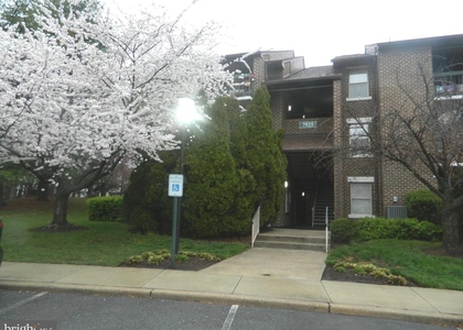 7925 Coriander Drive - Photo 1