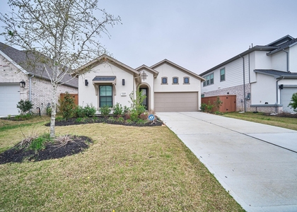 24819 Yellow Spruce - Photo 1