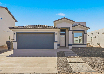 1173 Summer Rain Street - Photo 1
