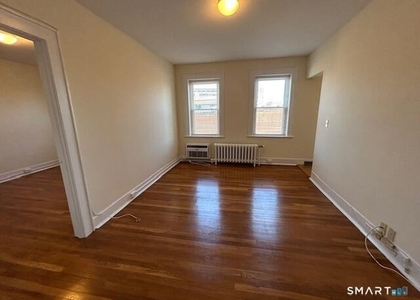 218 Bedford Street - Photo 1