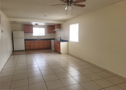 4610 Elk Springs Avenue - Photo 1