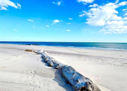 253 Dune - Photo 1