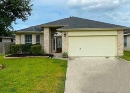 7338 Boerne Creek Drive - Photo 1