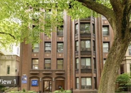 1430 N Dearborn Parkway - Photo 1