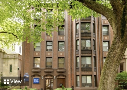 1430 N Dearborn Parkway - Photo 1