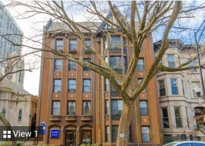 1430 N Dearborn Street - Photo 1