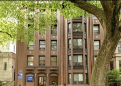 1430 N Dearborn Parkway - Photo 1