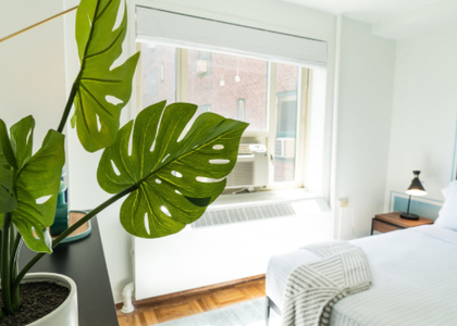 20 STUYVESANT OVAL - Photo 1