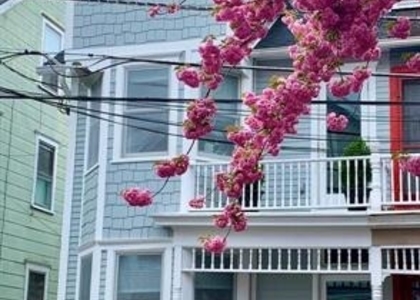28 Bank Street - Photo 1