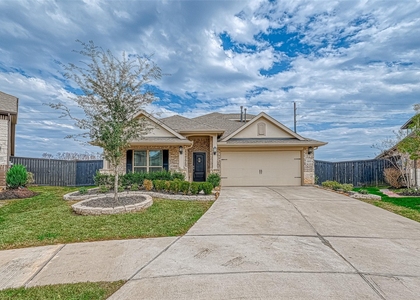 1003 Grey Dusk Court - Photo 1