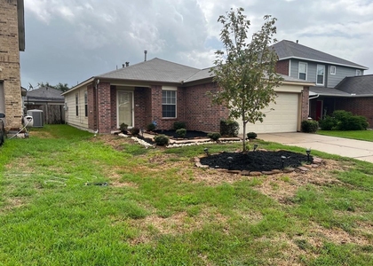 1907 Cold River Drive - Photo 1