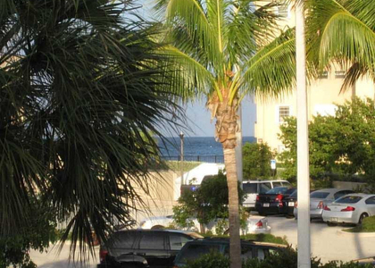 1481 S Ocean Boulevard - Photo 1