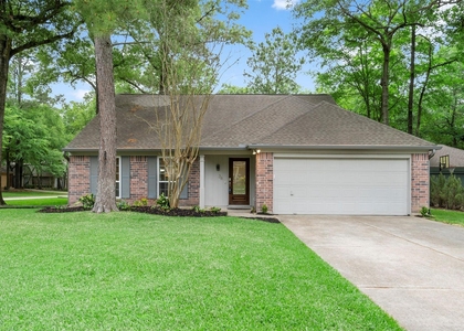 36 White Bark Place - Photo 1